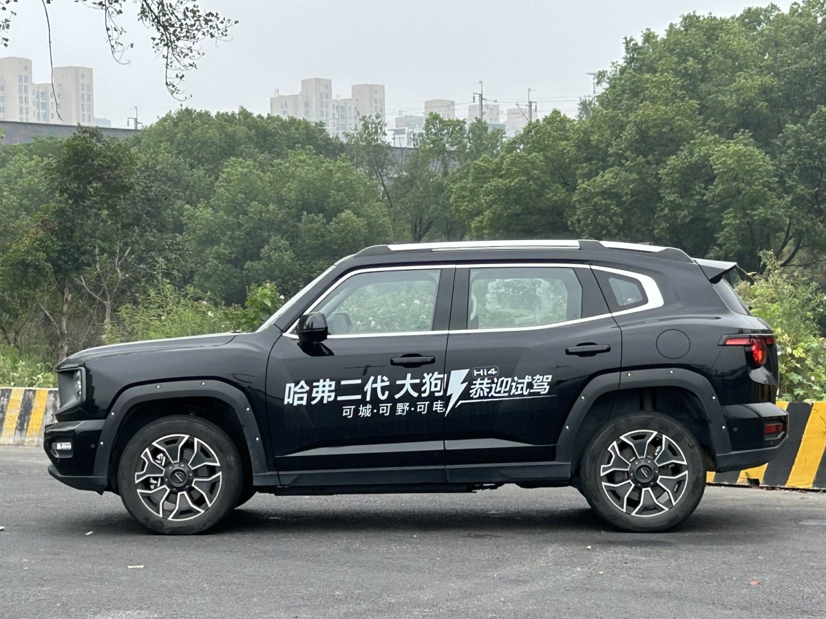 Haval X Dog 2 New Energy 2024 car image #8