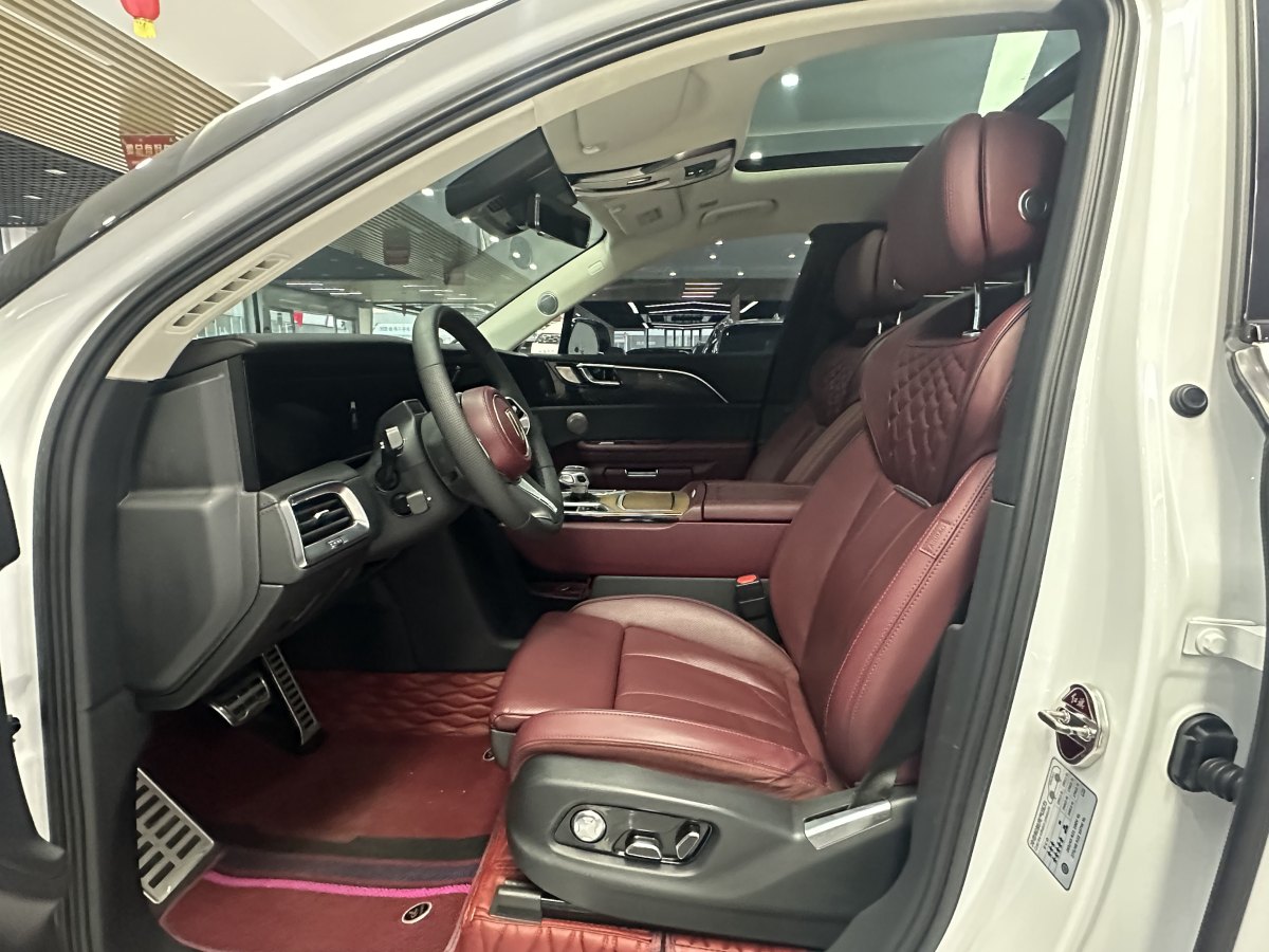 HongQi E-HS9 2021 #8 HongQi E-HS9 2021 car image #8