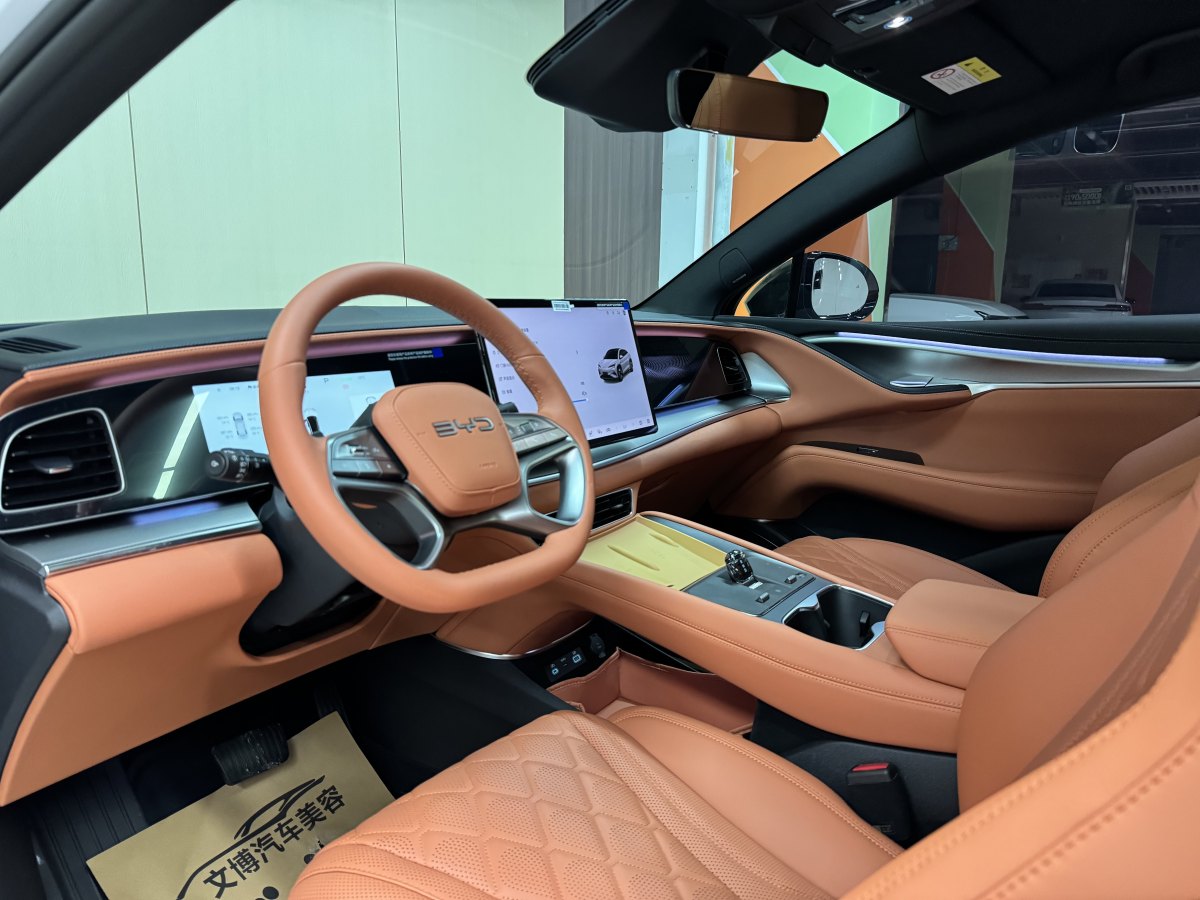 BYD Sea Lion 07 EV 2025 car image #8