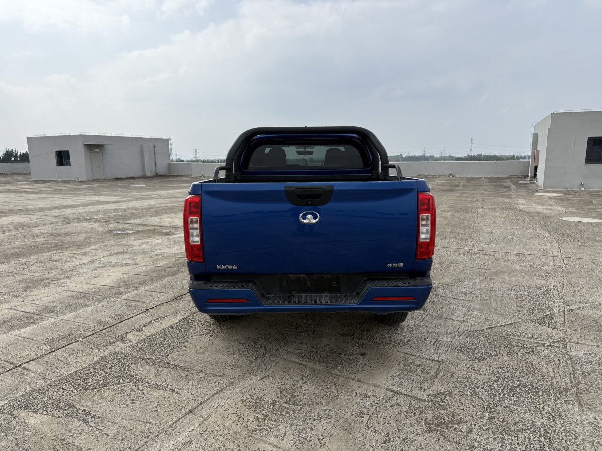 Great Wall Poer 2020 car image #8