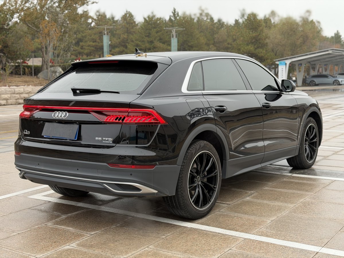 Audi RS Q8 2022 car image #8