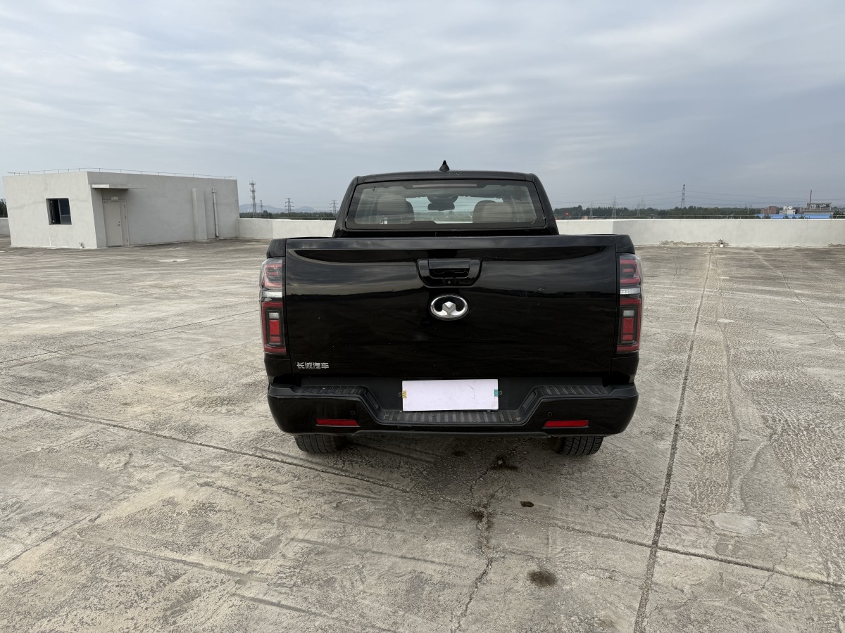 Great Wall Poer 2021 #8 Great Wall Poer 2021 car image #8