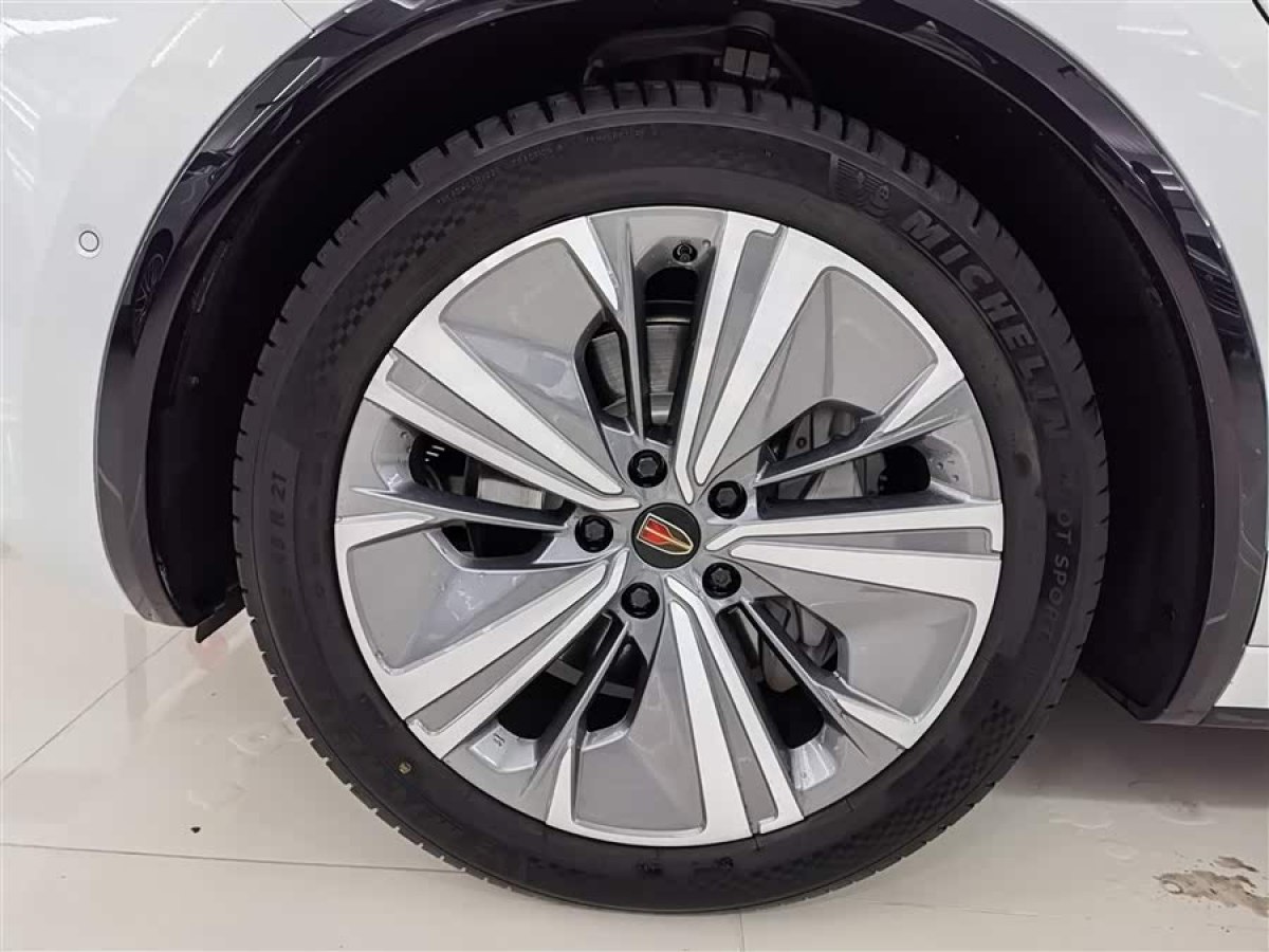 HongQi E-HS9 2021 #8 HongQi E-HS9 2021 immagine di auto #8