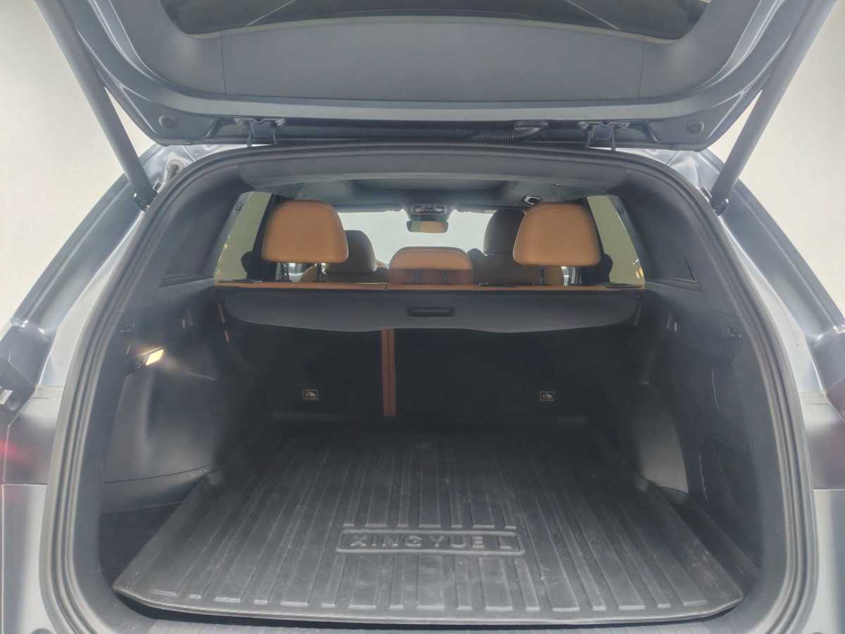 GEELY Monjaro EREV 2023 car image #8