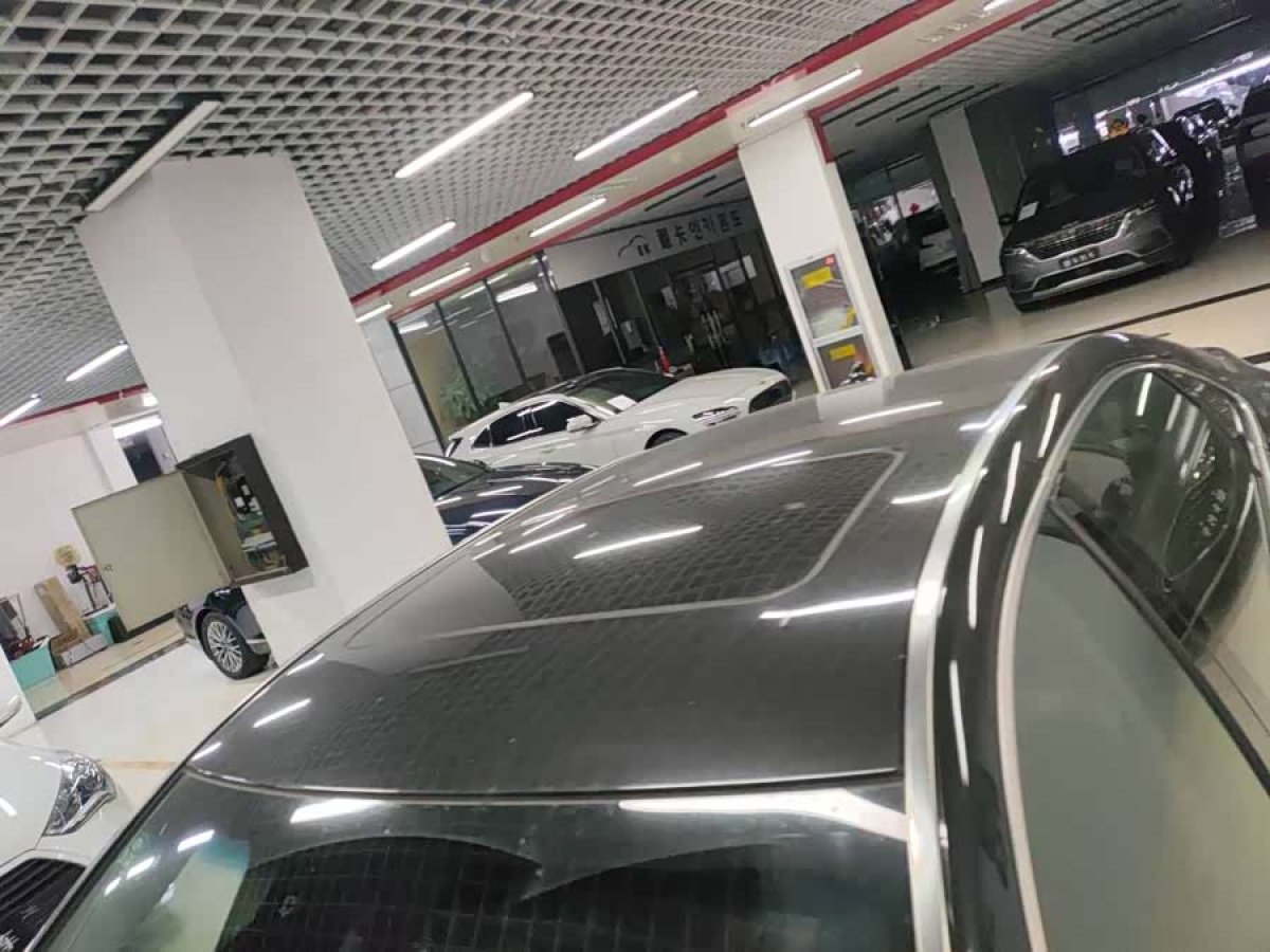 Hyundai Equus 2014 immagine di auto #8