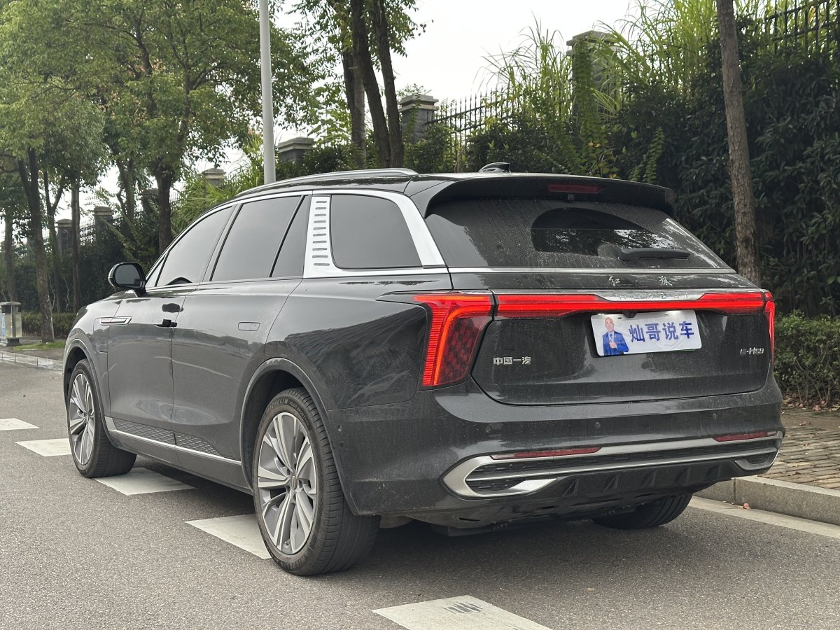 HongQi E-HS9 2022 #8 HongQi E-HS9 2022 car image #8
