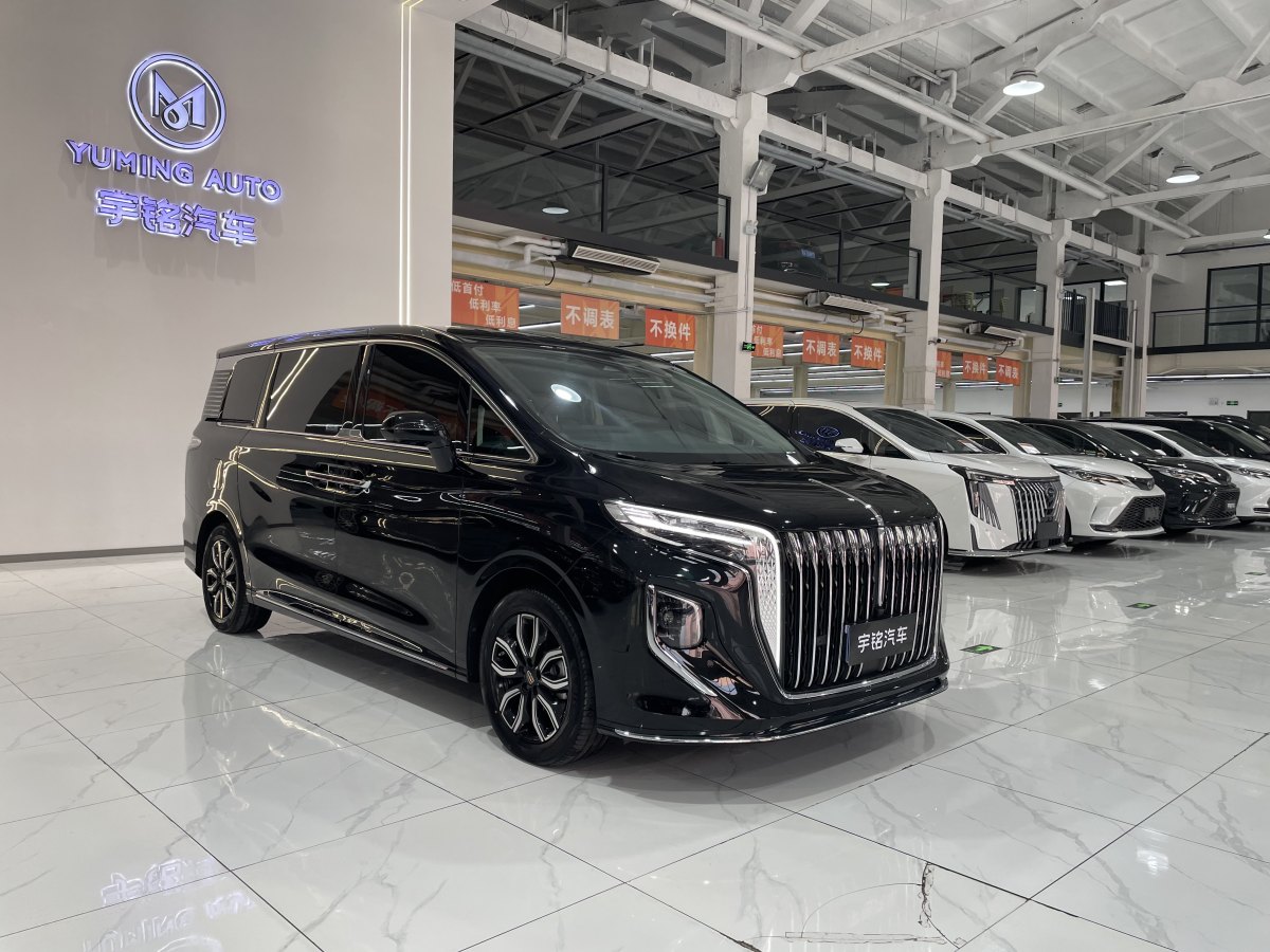 HongQi HQ9 2023 immagine di auto #8