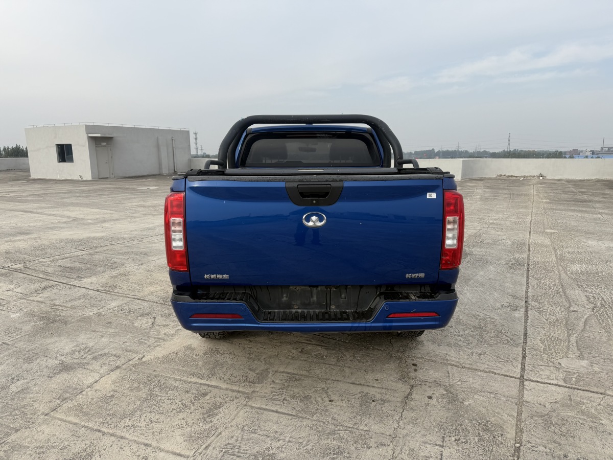 Great Wall Poer 2021 car image #8