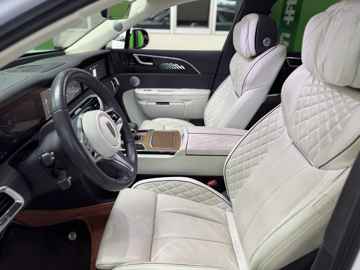 HongQi E-HS9 2021 immagine di auto #8