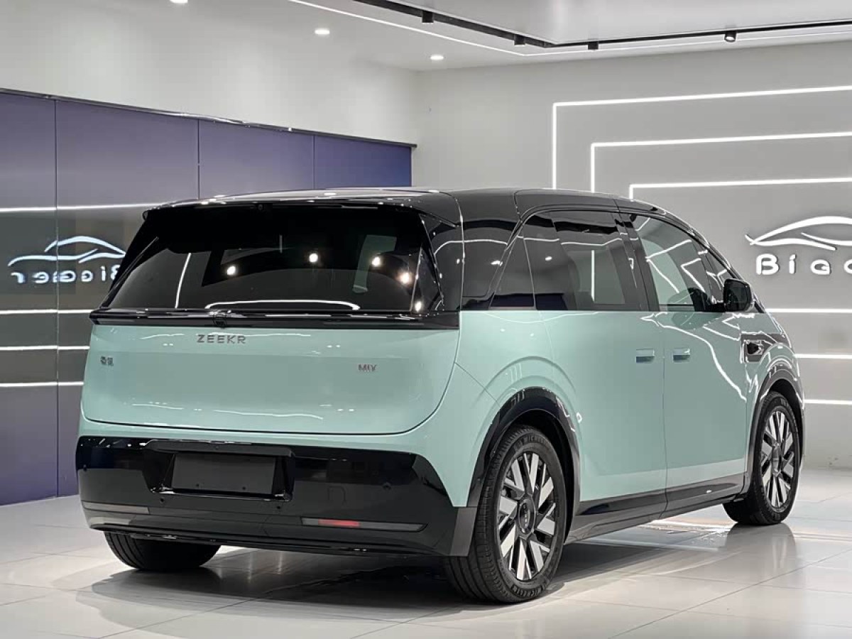 Zeekr MIX 2024 car image #8