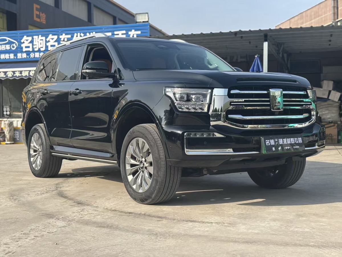 Tank 500 New Energy 2024 car image #8