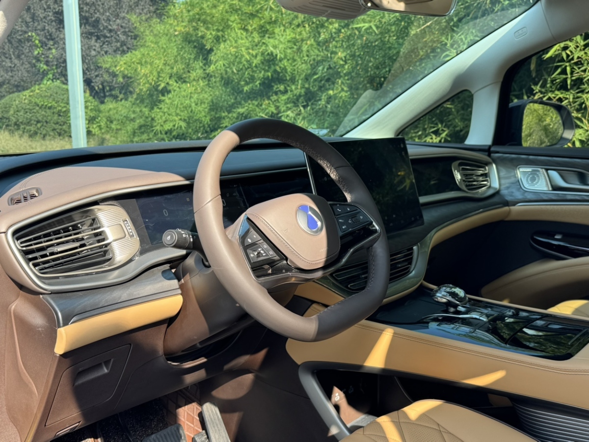 腾势 腾势D9 2024 汽车图片 #8