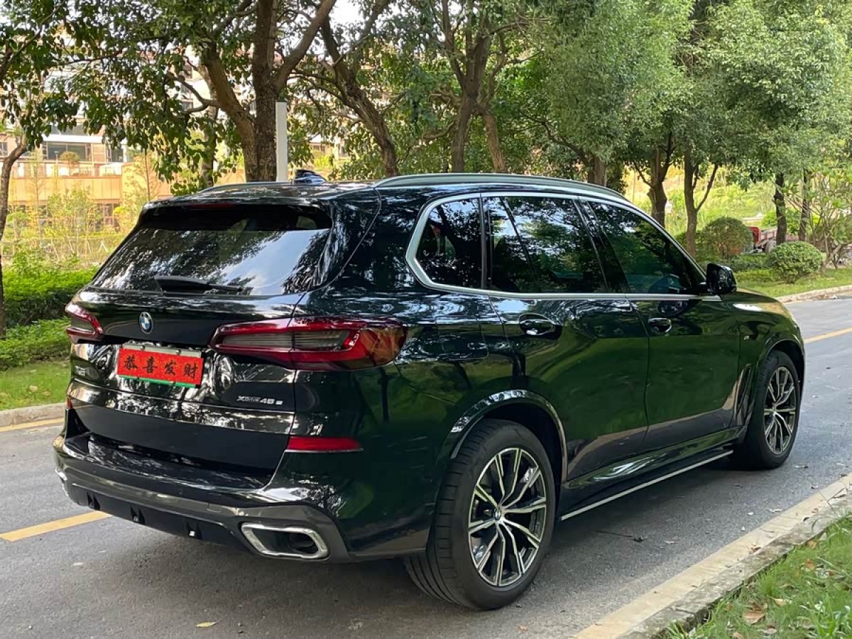 BMW X5 New Energy (Imported) 2021 car image #8