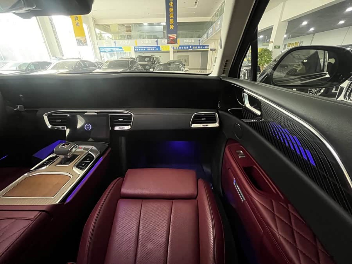 HongQi E-HS9 2023 immagine di auto #8