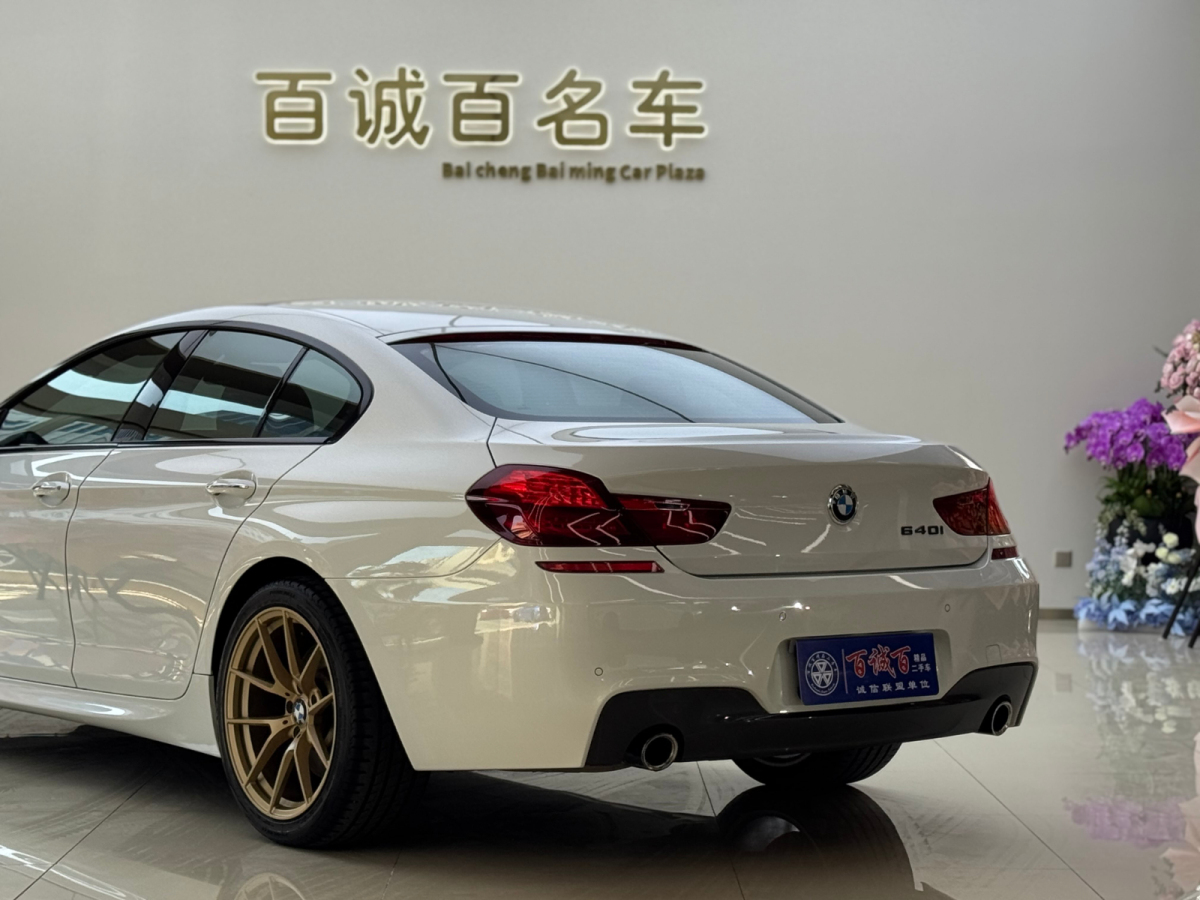 BMW 6 Series 2016 car image #8