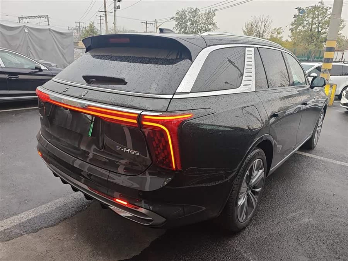 HongQi E-HS9 2023 #8 HongQi E-HS9 2023 car image #8