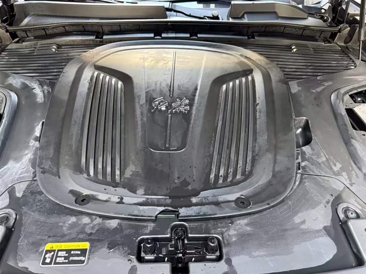 HongQi E-HS9 2023 #8 HongQi E-HS9 2023 immagine di auto #8