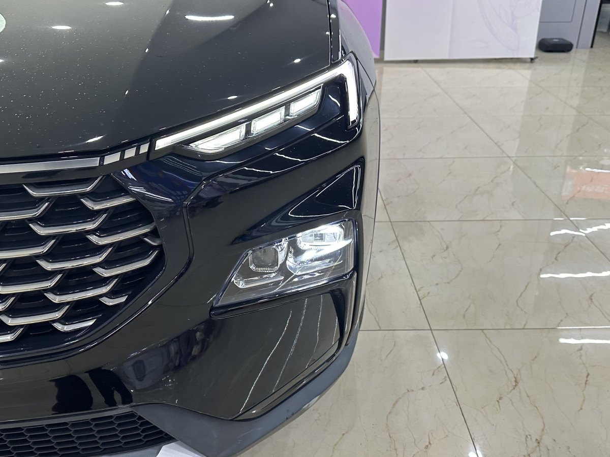 Ford Equator Sport 2024 immagine di auto #8