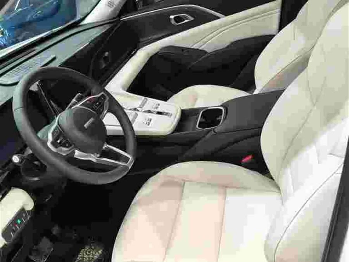 Haval Fierce Dragon MAX 2023 car image #8