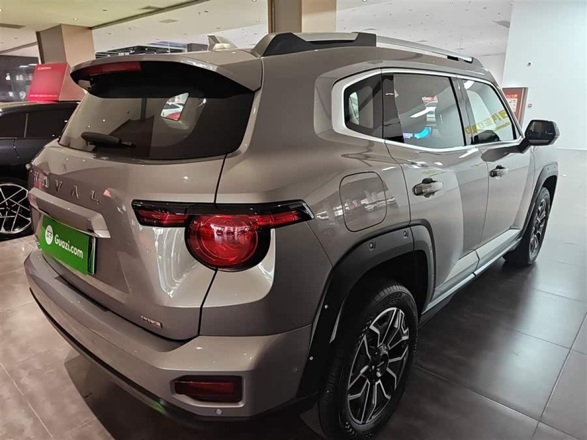 Haval X Dog 2 New Energy 2024 car image #8