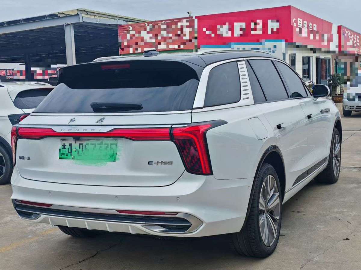 HongQi E-HS9 2024 immagine di auto #8