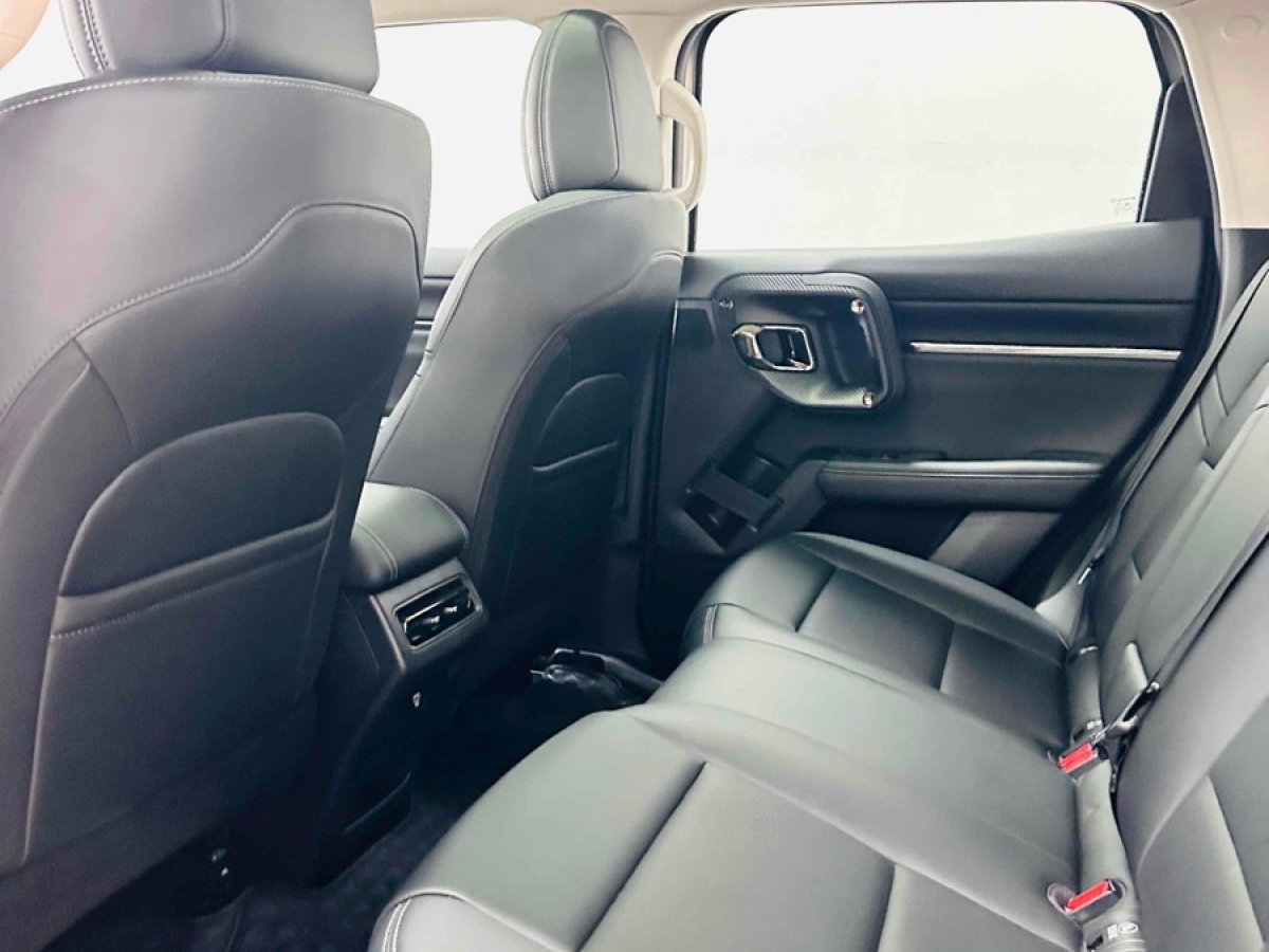 Haval Dargo 2 2024 car image #8