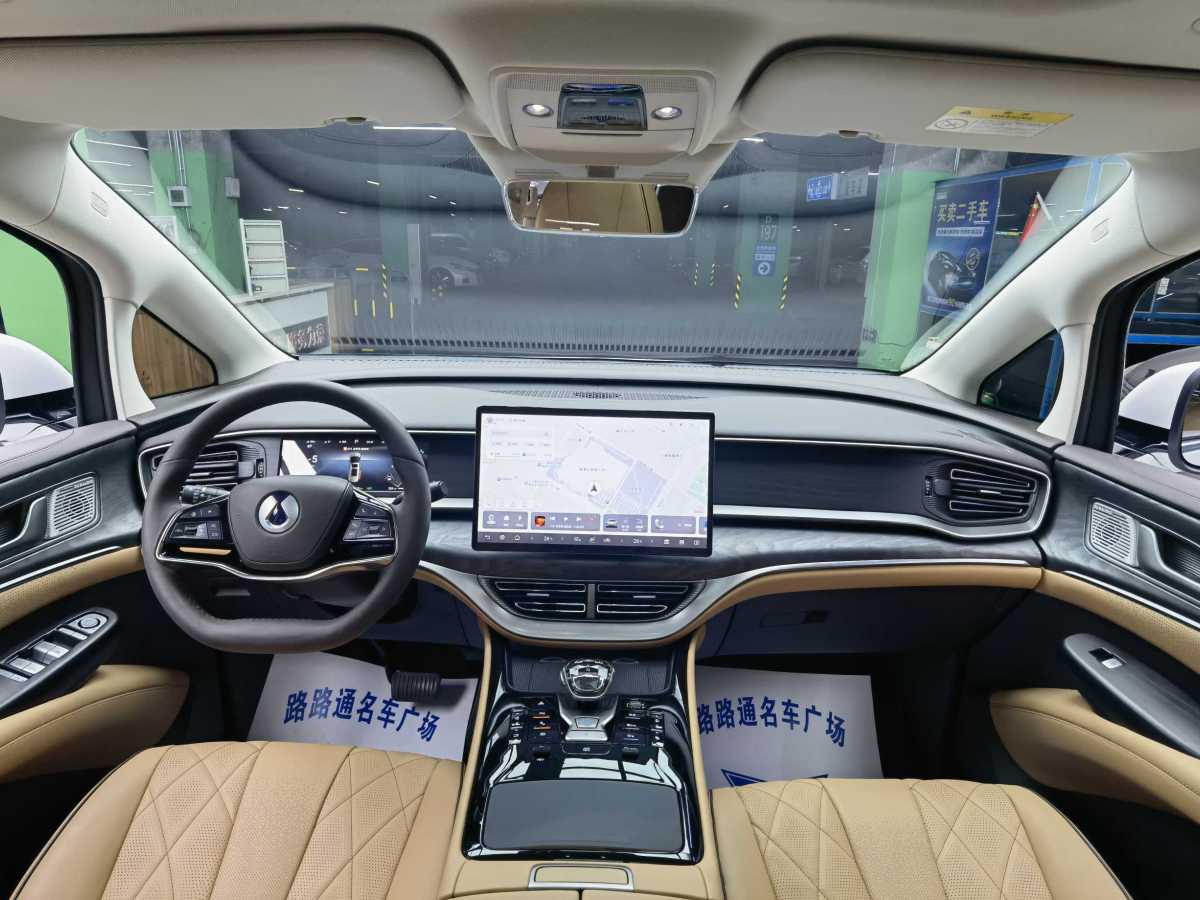 Denza DENZA 2024 car image #8