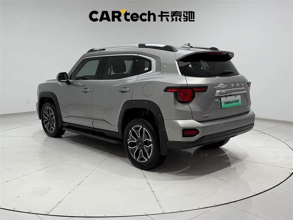Haval X Dog 2 New Energy 2024 car image #8