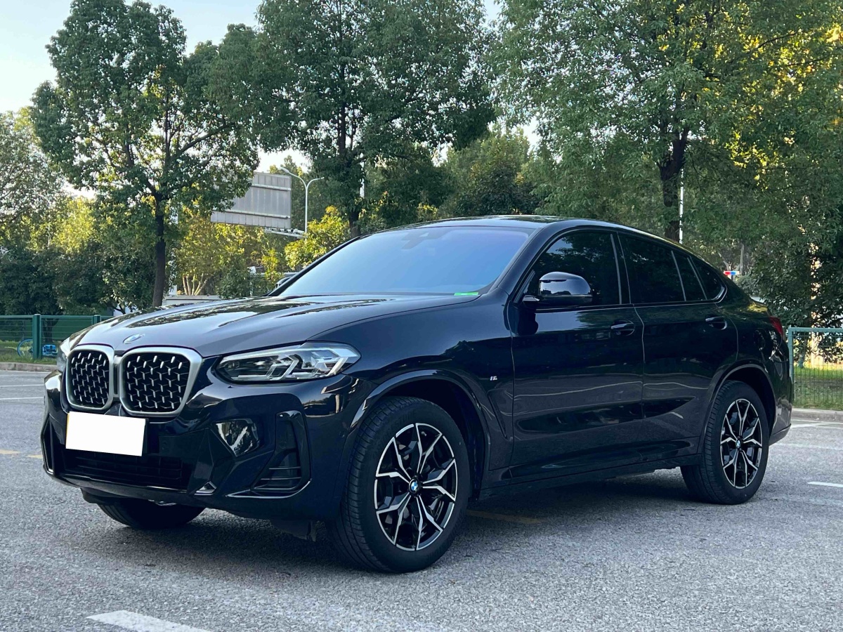 BMW X4 2024 #8 BMW X4 2024 imagem de carro #8