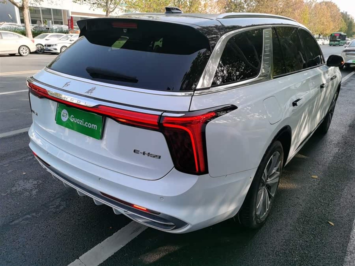 HongQi E-HS9 2023 car image #8