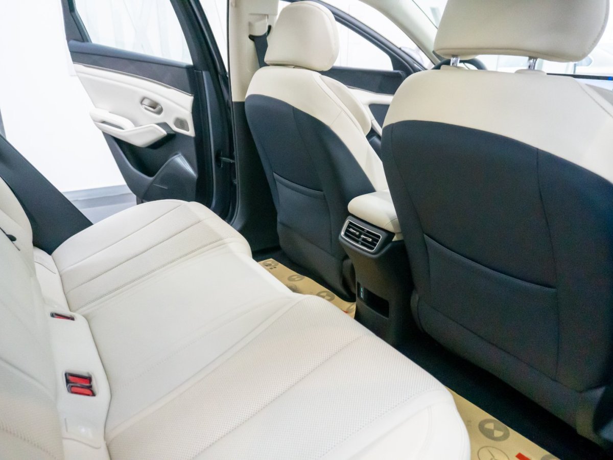 BYD M9 2024 #8 BYD M9 2024 image de voiture #8