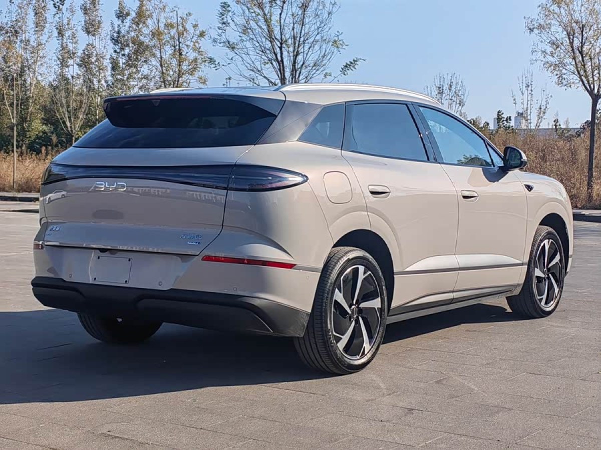 BYD Sea Lion 06 New Energy 2025 car image #8