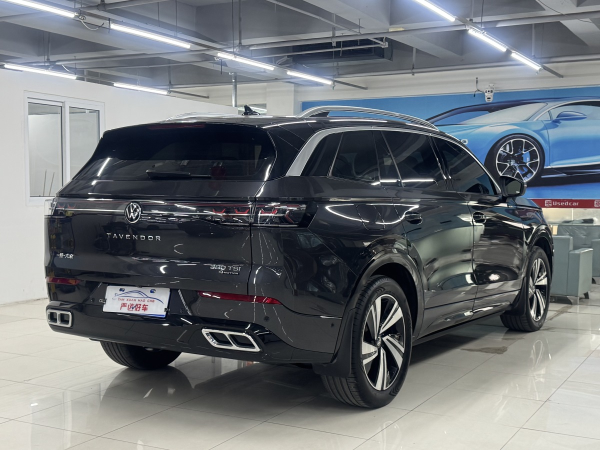 Volkswagen Tavendor 2023 car image #8