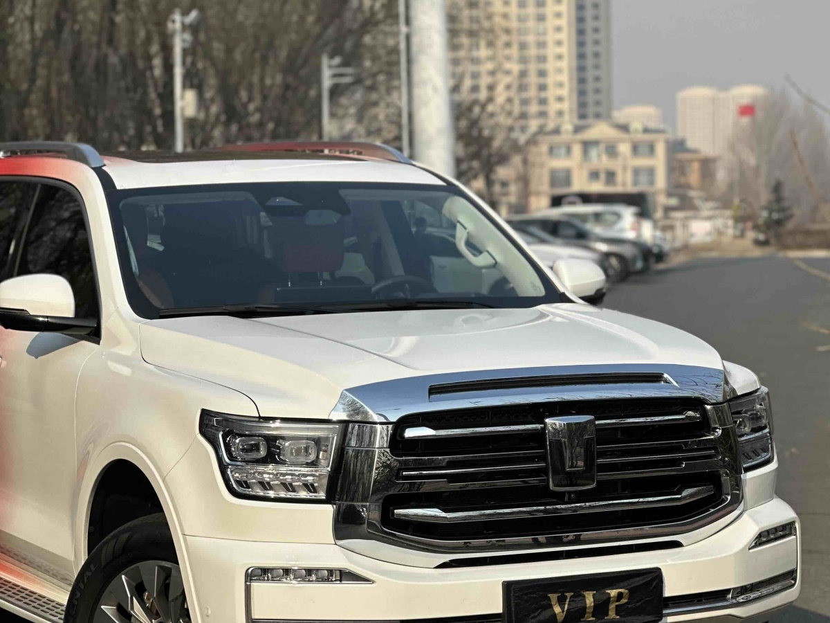 Tank 500 New Energy 2024 car image #8