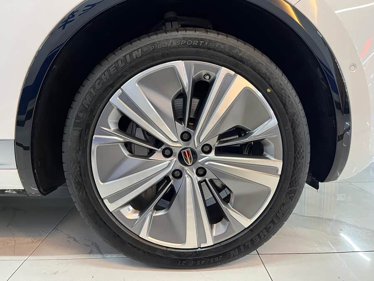 HongQi E-HS9 2021 #8 HongQi E-HS9 2021 immagine di auto #8