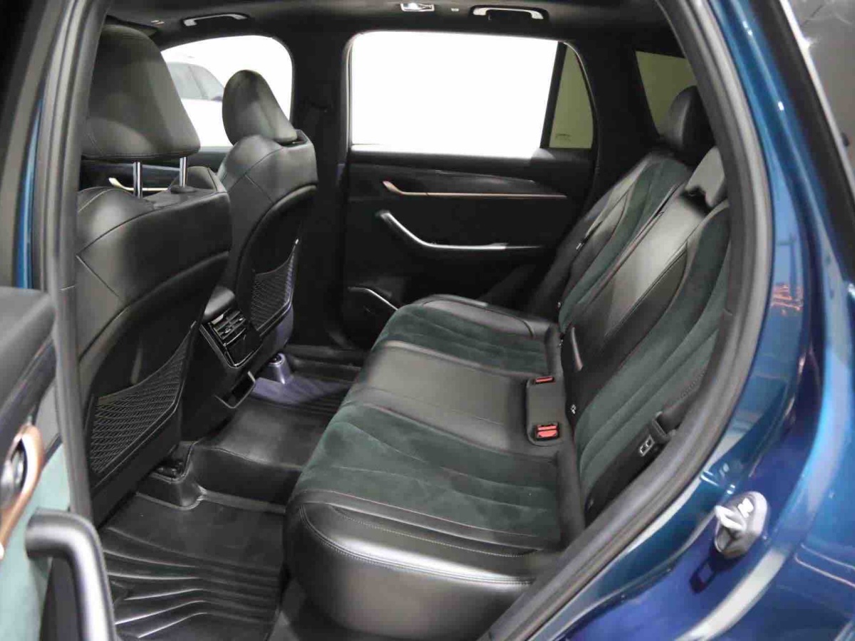 GEELY Tugella 2022 #8 GEELY Tugella 2022 car image #8