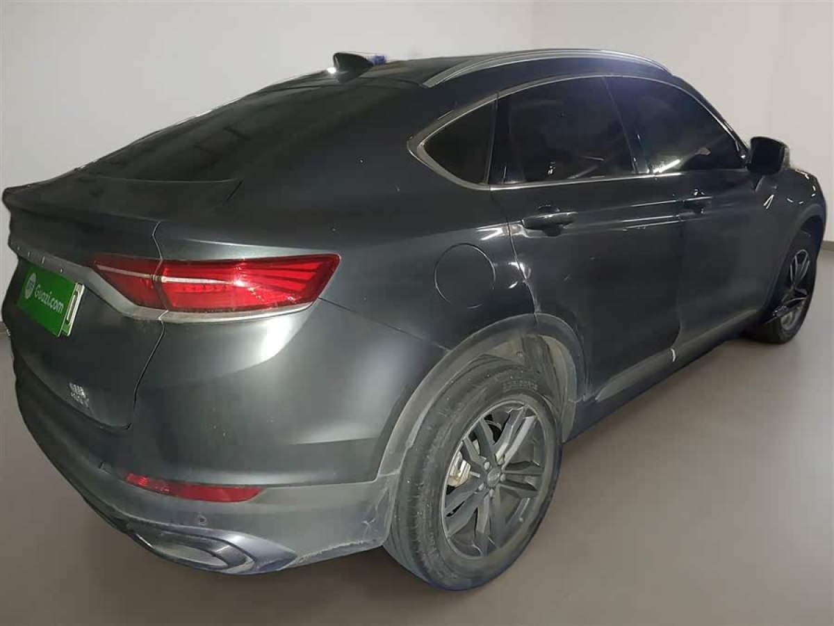 GEELY Tugella New Energy 2020 car image #8