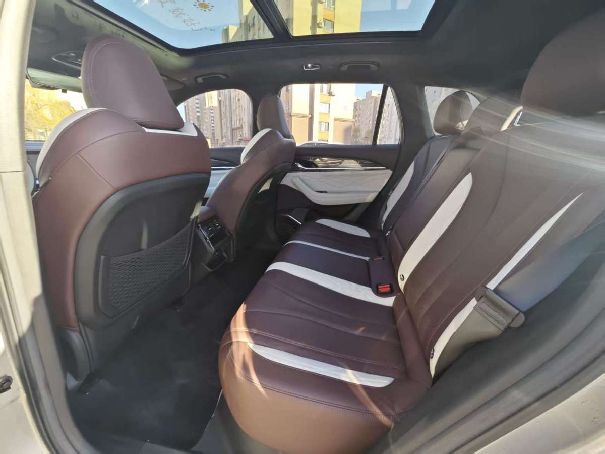 GEELY Tugella 2021 car image #8