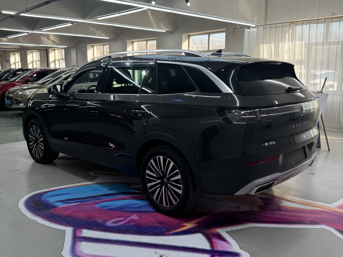 Volkswagen Tavendor 2023 car image #8