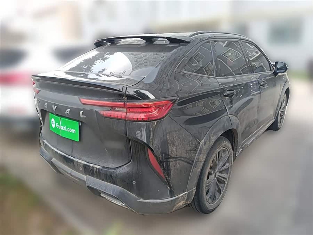 Haval H6S 2022 car image #8