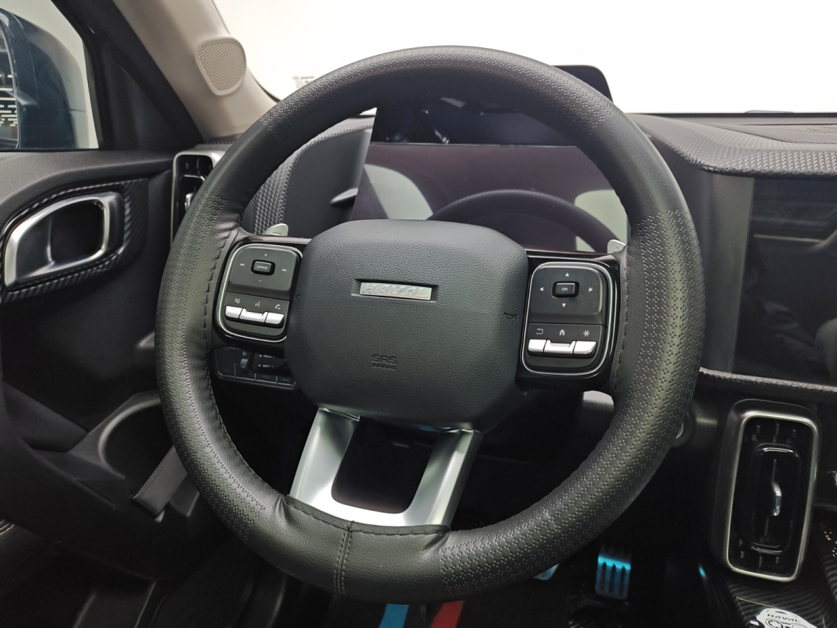 Haval X Dog / Dargo 2021 car image #8