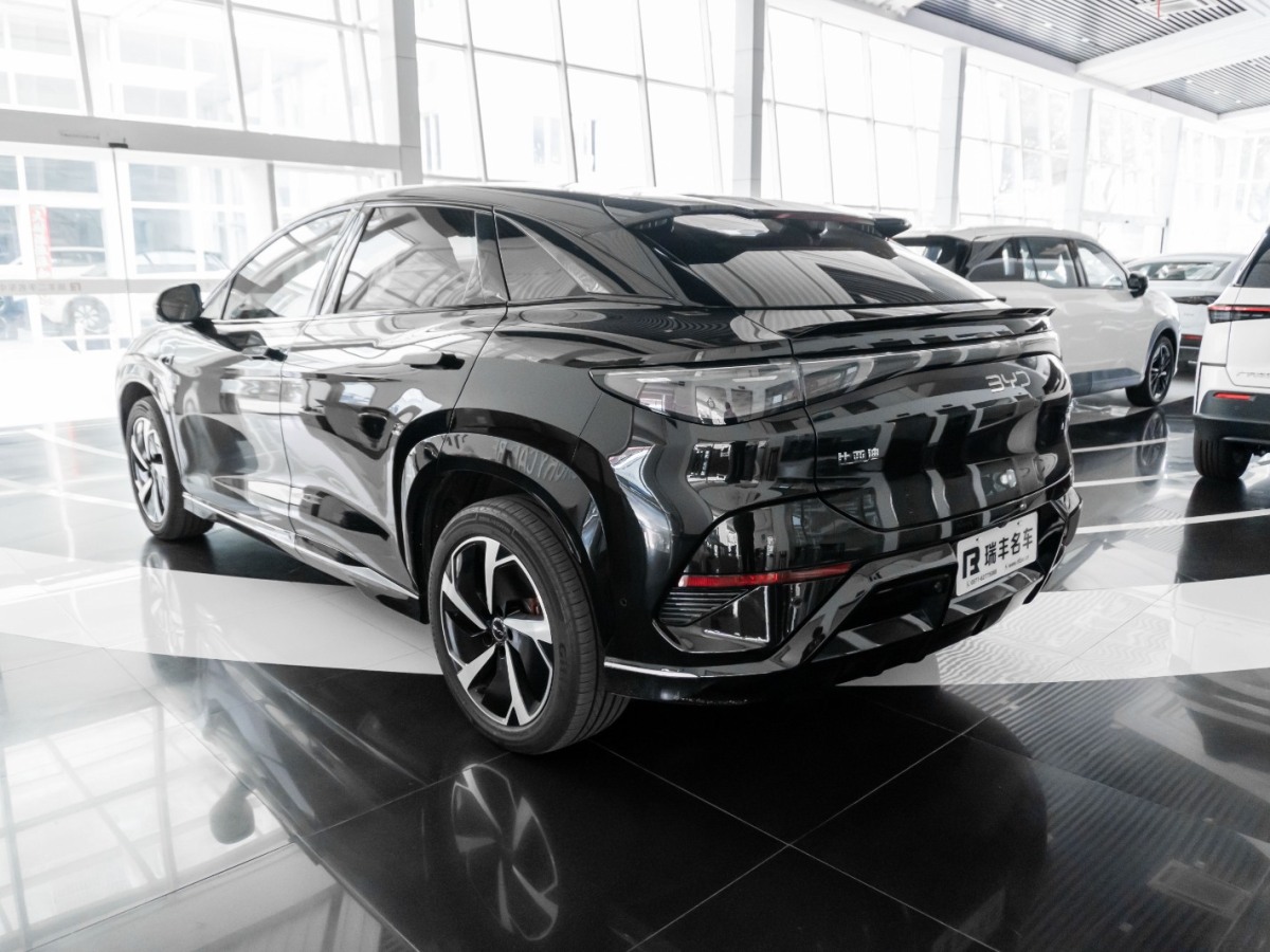 BYD Sea Lion 07 EV 2025 car image #8