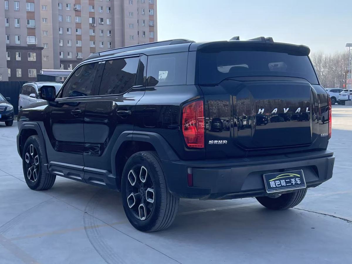 Haval Dargo 2022 car image #8