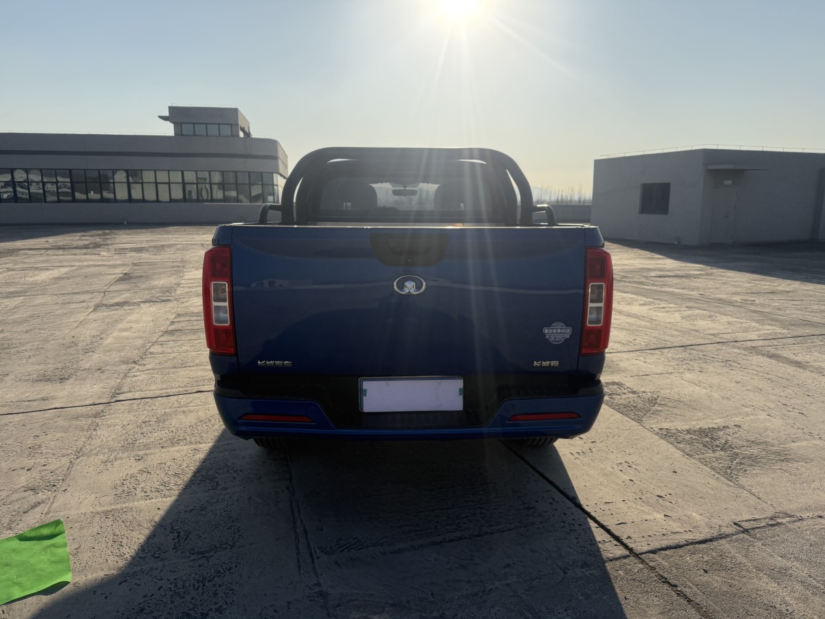 Great Wall Poer 2021 #8 Great Wall Poer 2021 car image #8
