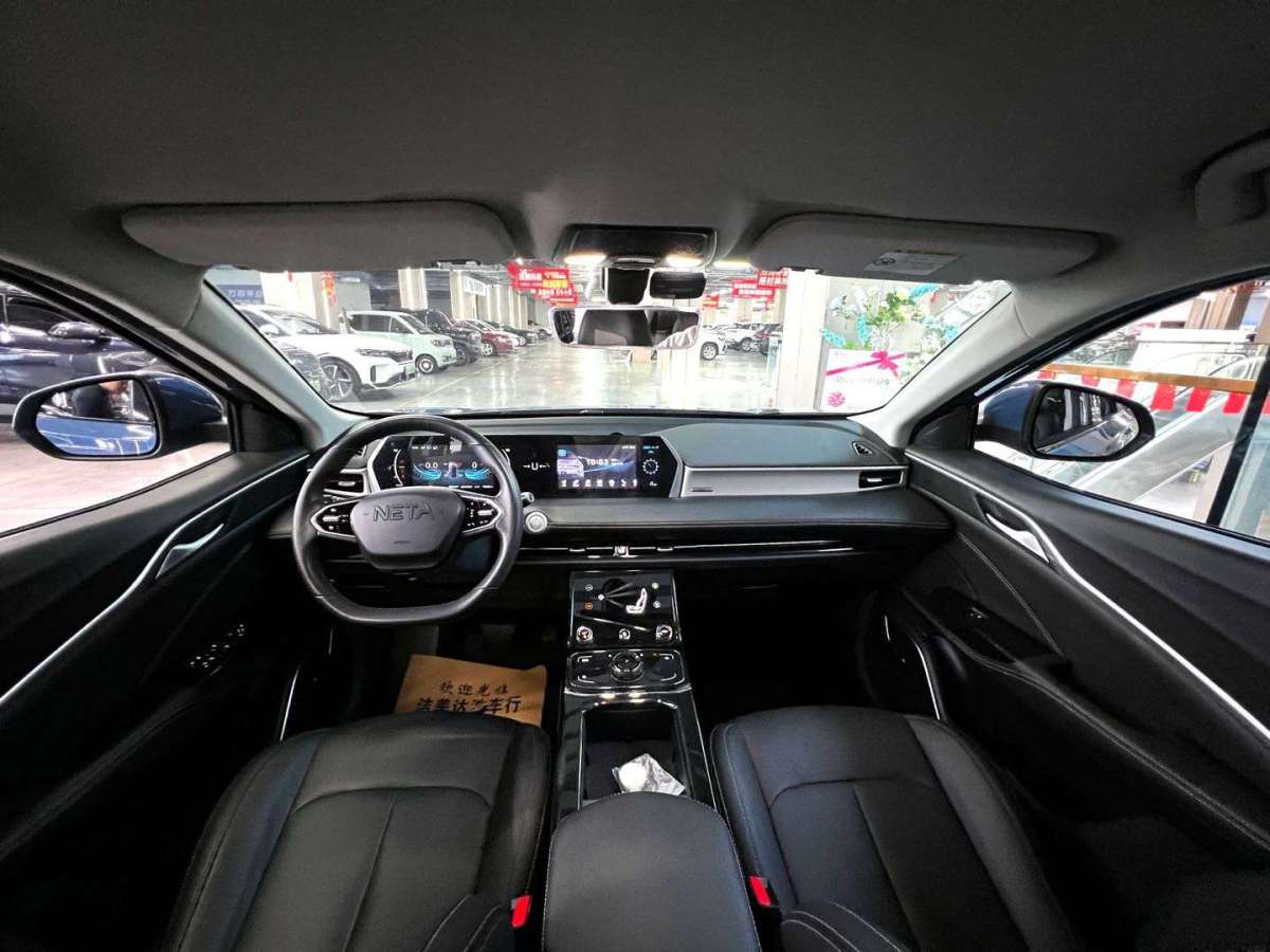 Neta U 2024 imagen de coche #8