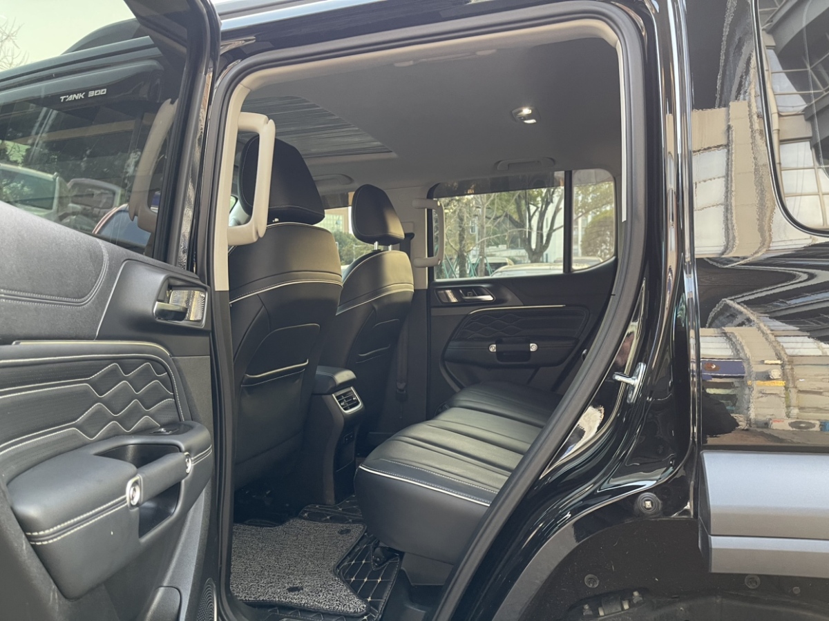 Tank 300 2023 car image #8