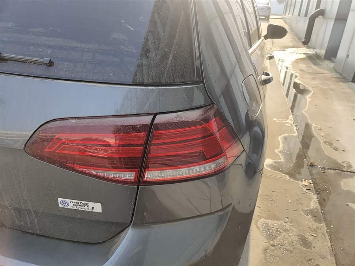 Volkswagen Golf New Energy (Imported) 2020 изображение автомобиля #8