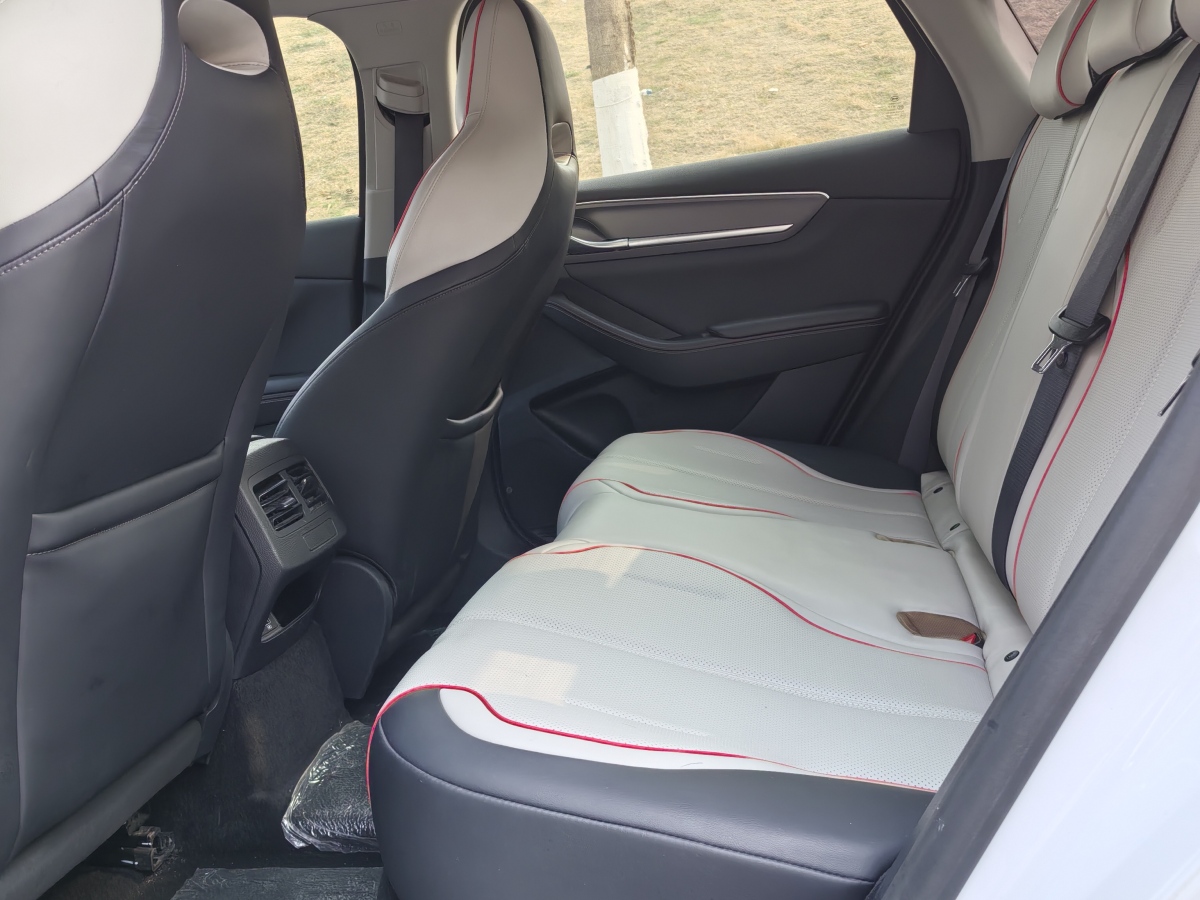 BYD Destroyer 05 2022 car image #8