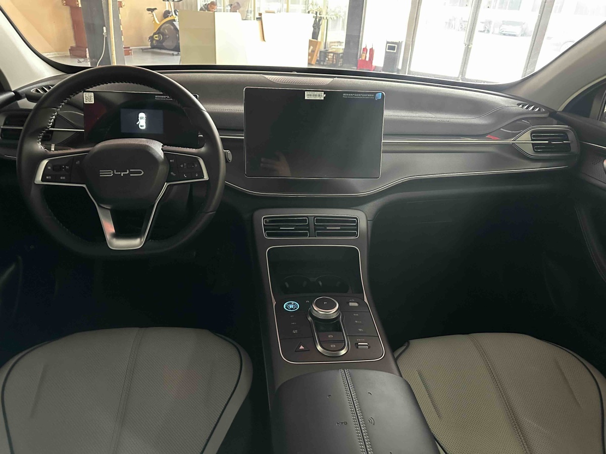BYD Destroyer 05 2024 immagine di auto #8