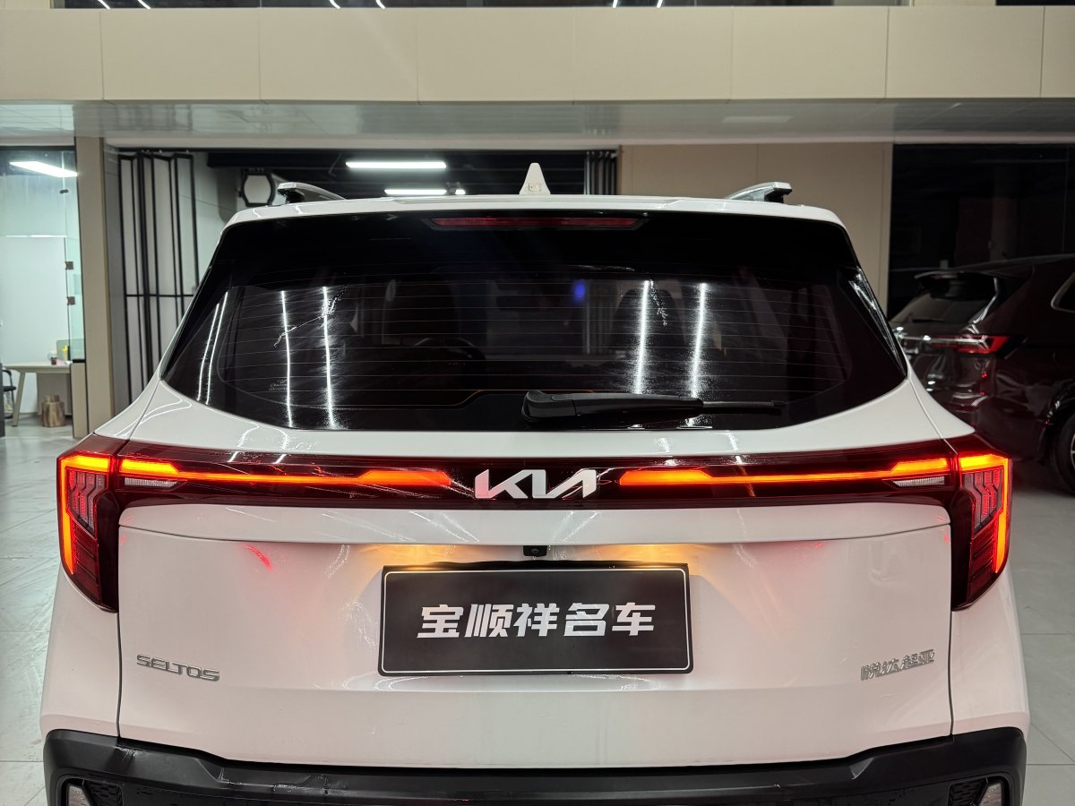 Kia Seltos 2024 car image #8